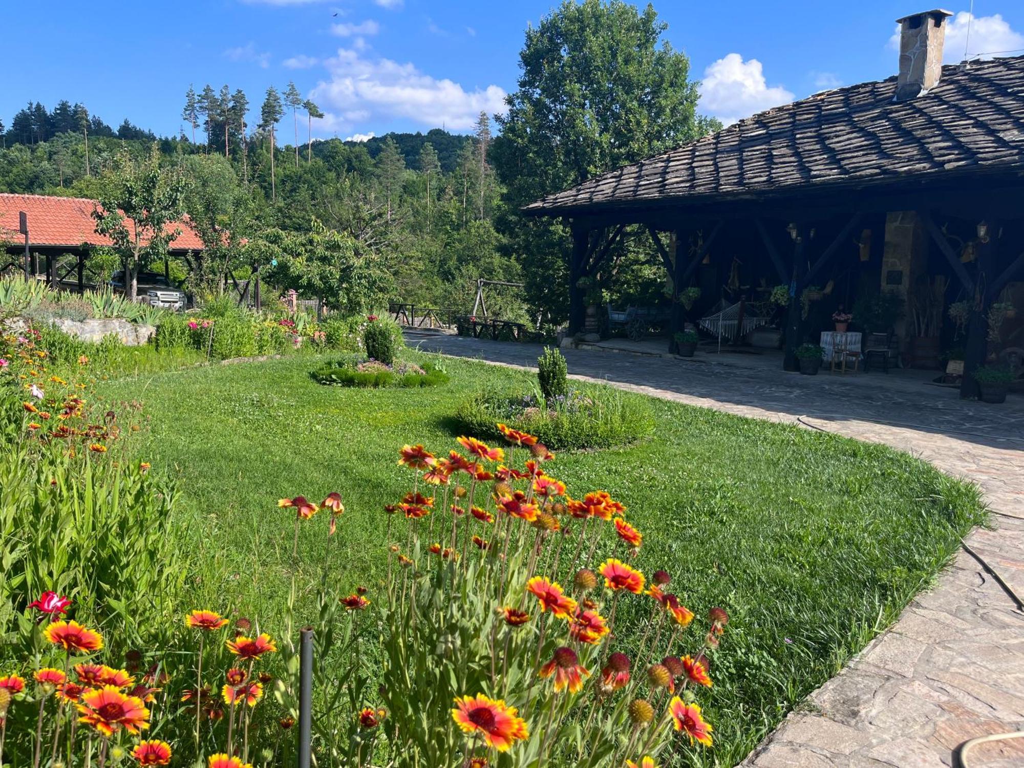 Agriturismo Hidden Paradise Villa Tryavna Exterior photo